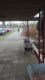 IMG 20160319 114958